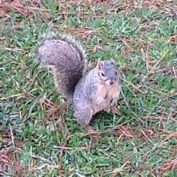 13258166614_de24ea4622