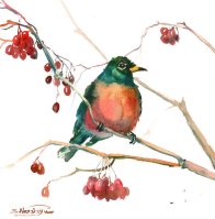 il_570xN_543402356_lm0j