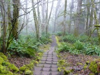 Steps from Sleep&nbsp;Lodge