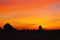 86456337_9e62fc996b_b